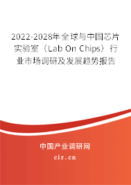 2022-2028年全球與中國芯片實驗室(Lab On Chips)行業(yè)市場調(diào)研及發(fā)展趨勢報告 2022-2028年全球與中國芯片實驗室(Lab On Chips)行業(yè)市場調(diào)研及發(fā)展趨勢報告