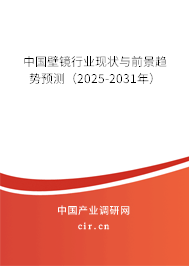 中國壁鏡行業現狀與前景趨勢預測（2024-2030年）