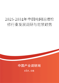 2025-2031年中國電網運維檢修行業發展調研與前景趨勢
