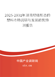 2025-2031年湖南初級形態的塑料市場調研與發展趨勢預測報告