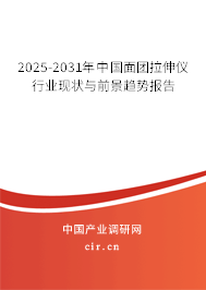 2025-2031年中國面團拉伸儀行業現狀與前景趨勢報告
