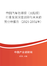 中國汽車防爆膜（太陽膜）行業(yè)發(fā)展深度調(diào)研與未來趨勢分析報(bào)告（2025-2031年）