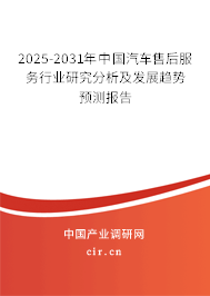2025-2031年中國汽車售后服務行業研究分析及發展趨勢預測報告 2025-2031年中國汽車售后服務行業研究分析及發展趨勢預測報告