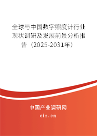 全球與中國數字照度計行業現狀調研及發展前景分析報告（2025-2031年）