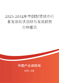 2025-2031年中國智慧城市行業發展現狀調研與發展趨勢分析報告