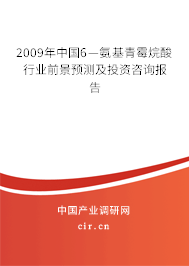 2009年中國6—氨基青霉烷酸行業前景預測及投資咨詢報告