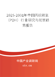 2025-2031年中國(guó)丙烷脫氫（PDH）行業(yè)研究與前景趨勢(shì)報(bào)告