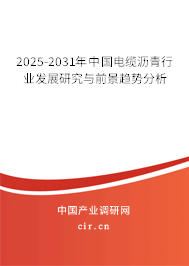 2025-2031年中國電纜瀝青行業(yè)發(fā)展研究與前景趨勢分析