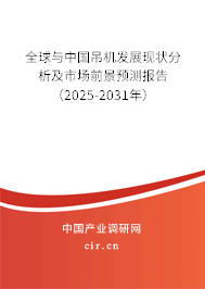 全球與中國吊機發展現狀分析及市場前景預測報告（2025-2031年）