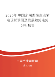 2025年中國多端柔性直流輸電現狀調研及發展趨勢走勢分析報告