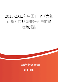 2025-2031年中國(guó)HFP（六氟丙烯）市場(chǎng)調(diào)查研究與前景趨勢(shì)報(bào)告