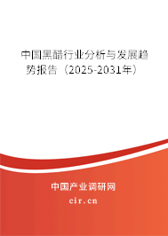 中國(guó)黑醋行業(yè)分析與發(fā)展趨勢(shì)報(bào)告（2025-2031年）