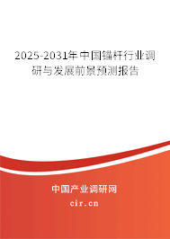 2025-2031年中國錨桿行業調研與發展前景預測報告