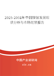 2025-2031年中國鎳鈹發(fā)展現(xiàn)狀分析與市場前景報告
