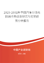 2025-2031年中國汽車分流電阻器市場調查研究與前景趨勢分析報告
