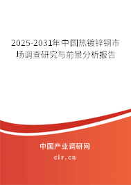2025-2031年中國熱鍍鋅鋼市場調查研究與前景分析報告 2025-2031年中國熱鍍鋅鋼市場調查研究與前景分析報告
