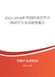 2025-2031年中國熱穩定劑市場研究與發展趨勢報告