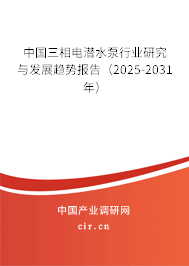 中國三相電潛水泵行業研究與發展趨勢報告（2025-2031年）