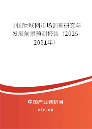 中國物聯網市場調查研究與發展前景預測報告(2025-2031年) 中國物聯網市場調查研究與發展前景預測報告(2025-2031年)