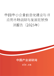 中國中小企業信息化建設與IT應用市場調研與發展前景預測報告（2025年）