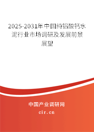 2025-2031年中國純鋁酸鈣水泥行業(yè)市場調(diào)研及發(fā)展前景展望