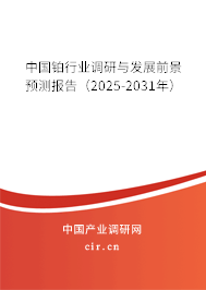 中國鉑行業(yè)調(diào)研與發(fā)展前景預(yù)測報告（2025-2031年）
