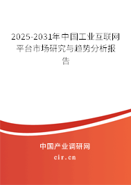2024-2030年中國工業(yè)互聯(lián)網(wǎng)平臺市場研究與趨勢分析報告 2024-2030年中國工業(yè)互聯(lián)網(wǎng)平臺市場研究與趨勢分析報告