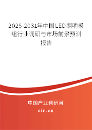2025-2031年中國LED照明模組行業調研與市場前景預測報告