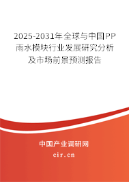 2025-2031年全球與中國PP雨水模塊行業發展研究分析及市場前景預測報告