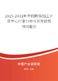 2025-2031年中國數據加工計算中心行業分析與前景趨勢預測報告