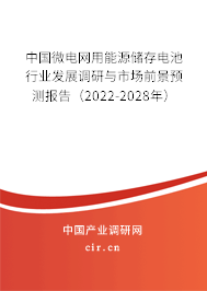 中國微電網用能源儲存電池行業發展調研與市場前景預測報告（2022-2028年）