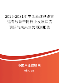 2025-2031年中國新建鐵路貨運專線骨干網行業發展深度調研與未來趨勢預測報告