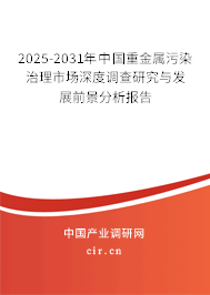 2025-2031年中國重金屬污染治理市場深度調(diào)查研究與發(fā)展前景分析報告