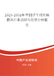 2025-2031年中國(guó)子午線輪胎模具行業(yè)調(diào)研與前景分析報(bào)告