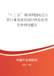 “十二五”期間中國電壓力煲行業(yè)發(fā)展規(guī)劃分析及投資前景預(yù)測報告