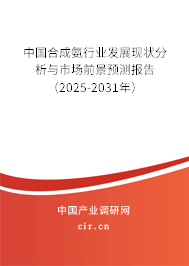 中國合成氨行業(yè)發(fā)展現(xiàn)狀分析與市場前景預(yù)測報告（2025-2031年）