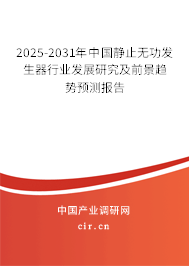 2025-2031年中國靜止無功發生器行業發展研究及前景趨勢預測報告 2025-2031年中國靜止無功發生器行業發展研究及前景趨勢預測報告