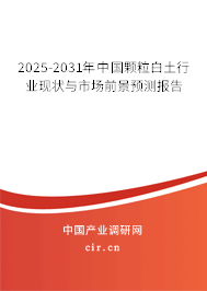 2025-2031年中國顆粒白土行業(yè)現(xiàn)狀與市場前景預(yù)測報告