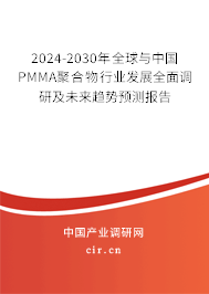 2024-2030年全球與中國PMMA聚合物行業發展全面調研及未來趨勢預測報告