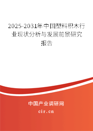 2025-2031年中國塑料積木行業現狀分析與發展前景研究報告