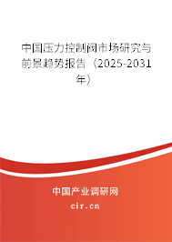 中國(guó)壓力控制閥市場(chǎng)研究與前景趨勢(shì)報(bào)告（2025-2031年）