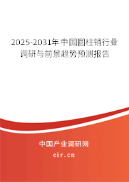 2025-2031年中國圓柱銷行業(yè)調(diào)研與前景趨勢預(yù)測報告