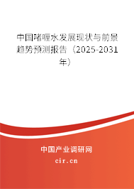 中國啫喱水發(fā)展現(xiàn)狀與前景趨勢預(yù)測報告（2025-2031年）