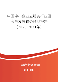 中國中小企業(yè)云服務(wù)行業(yè)研究與發(fā)展趨勢預(yù)測報告（2025-2031年）