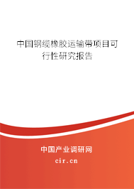 中國鋼纜橡膠運(yùn)輸帶項(xiàng)目可行性研究報告
