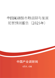 中國氟硼酸市場調研與發展前景預測報告（2025年）