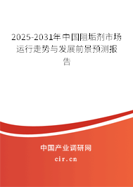 2024-2030年中國阻垢劑市場運行走勢與發展前景預測報告