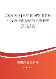 2025-2031年中國搬家服務行業(yè)發(fā)展全面調(diào)研與未來趨勢預測報告