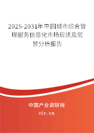 2025-2031年中國城市綜合管理服務信息化市場現狀及前景分析報告 2025-2031年中國城市綜合管理服務信息化市場現狀及前景分析報告