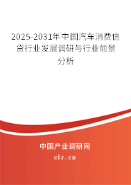 2025-2031年中國汽車消費信貸行業發展調研與行業前景分析